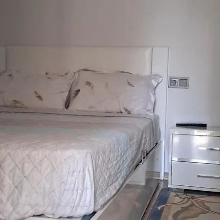 Eligible Furnished Flat In Konyaalti